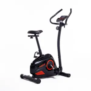 BICICLETA FIJA  RANDERS ARG-456